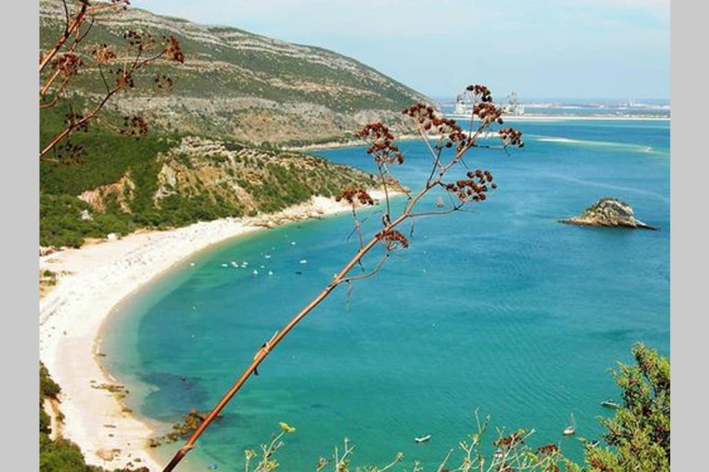 The Sweet Dreams Holiday House Azeitao Dış mekan fotoğraf